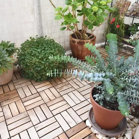 Apartment Ilijana Zadar