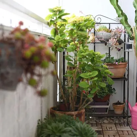 Ilijana Apartment Zadar