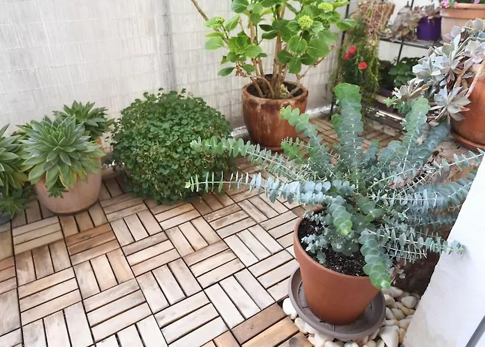 Apartment Ilijana Zadar