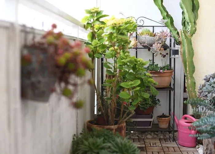 Ilijana Apartment Zadar